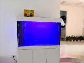 圖 深圳專業(yè)公司家庭魚缸養(yǎng)護(hù) 安裝搬移 深圳寵物食品 用品